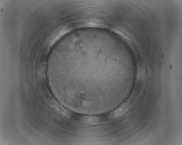 X0000080811314200701051140