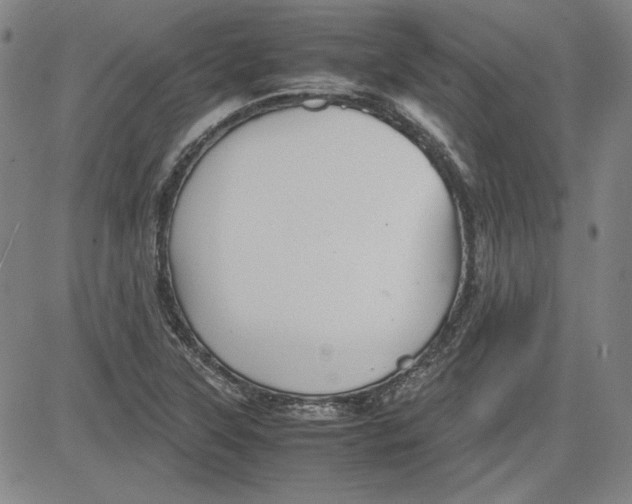 X0000080811315200701051140