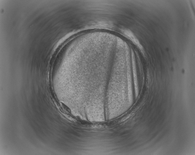 X0000080811316200701051140