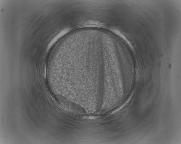 X0000080811317200701051140