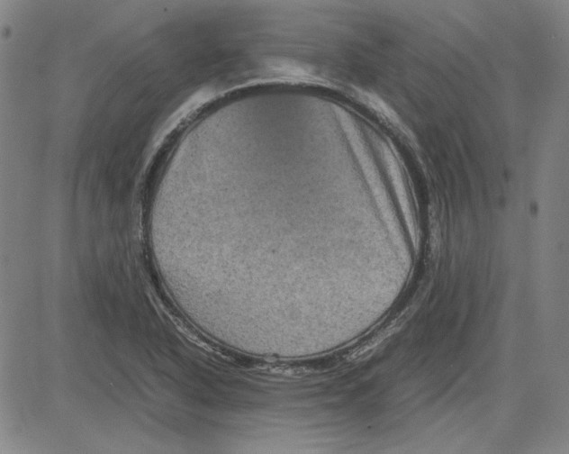 X0000080811318200701051140