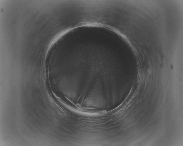 X0000080811319200701051140