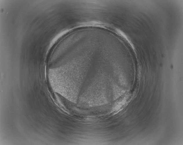 X0000080811320200701051140