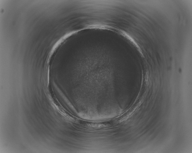 X0000080811323200701051140