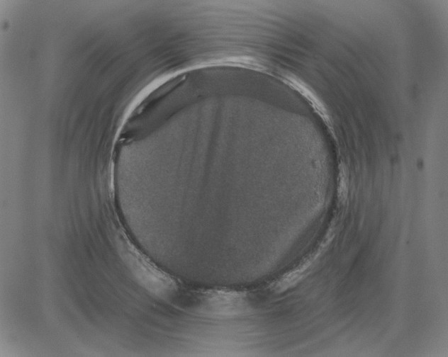 X0000080811324200701051140