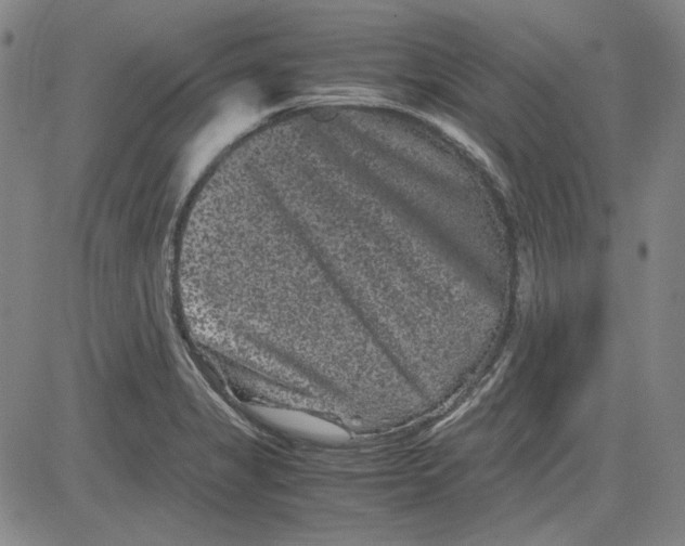 X0000080811325200701051140