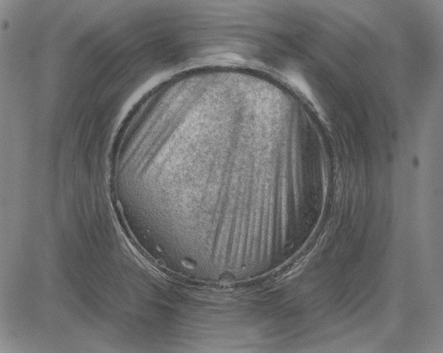 X0000080811326200701051140