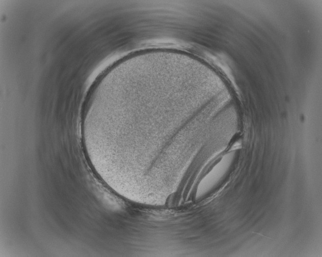 X0000080811328200701051140