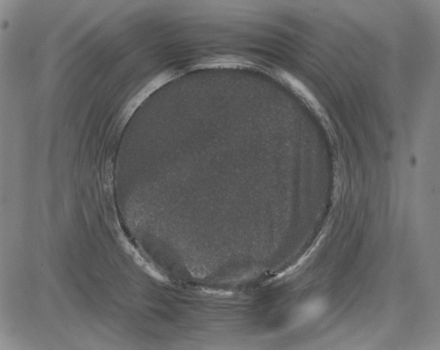 X0000080811329200701051140