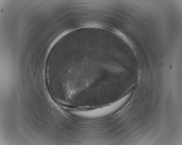 X0000080811331200701051140