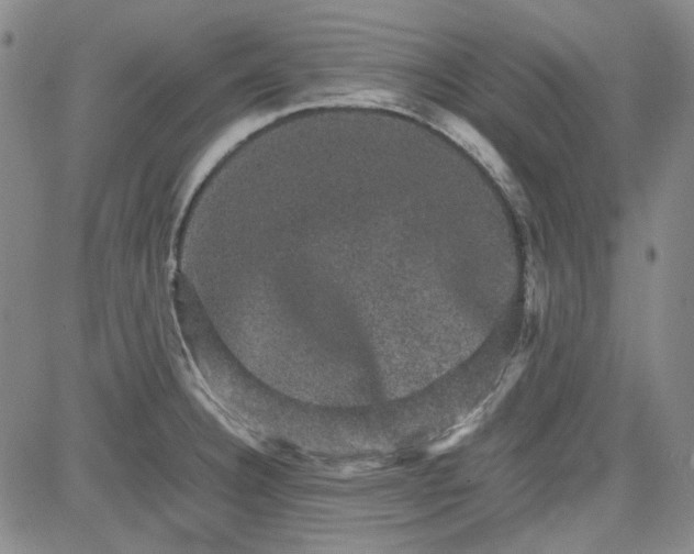 X0000080811332200701051140