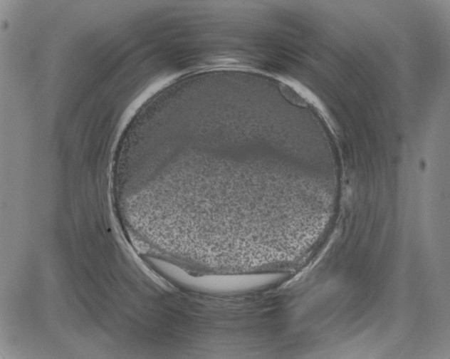 X0000080811333200701051140