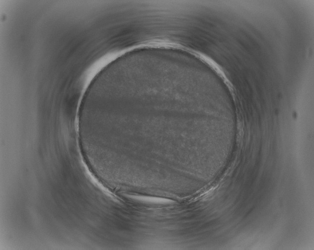 X0000080811335200701051140