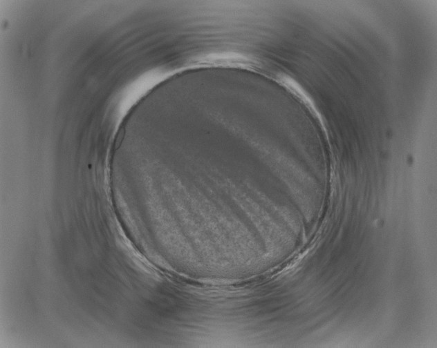 X0000080811336200701051141