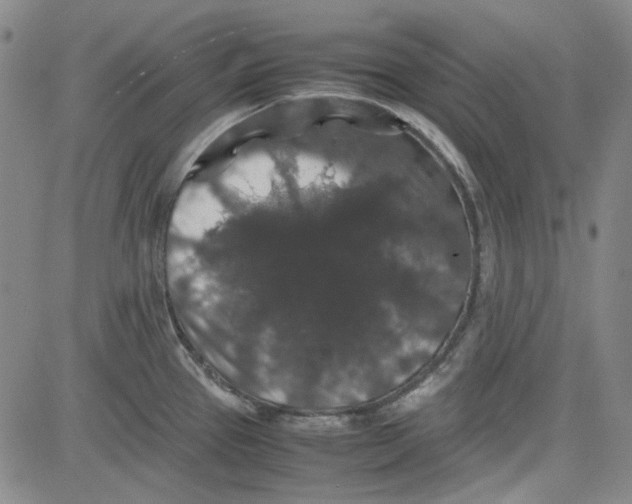 X0000080811337200701051141