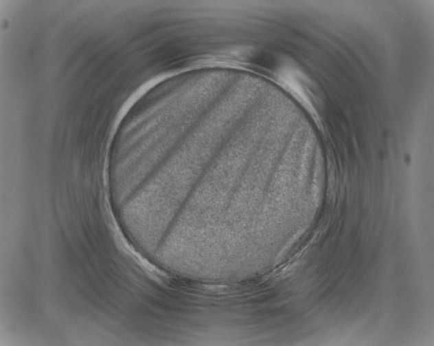 X0000080811339200701051141