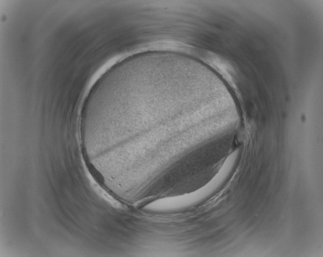 X0000080811342200701051141