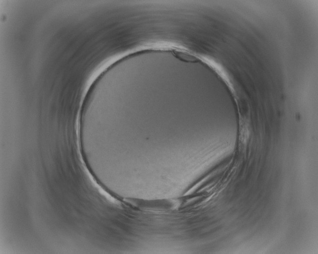 X0000080811343200701051141