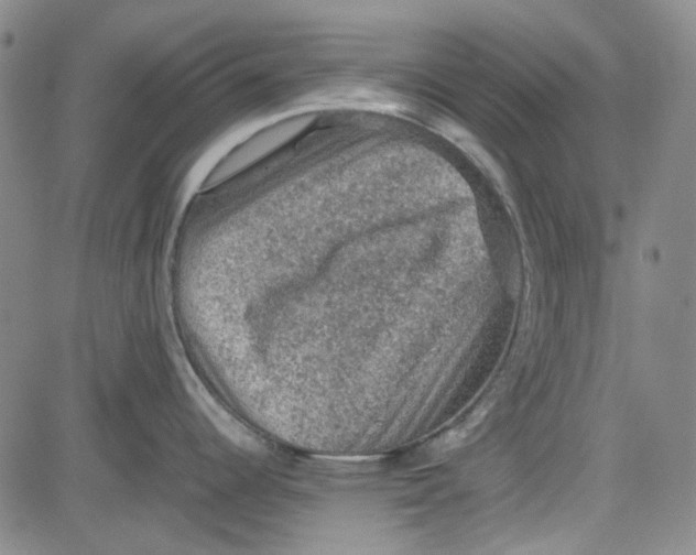 X0000080811344200701051141