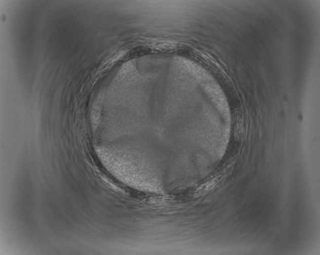 X0000080811345200701051140