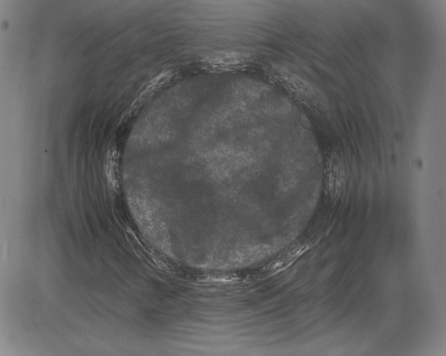 X0000080811346200701051140