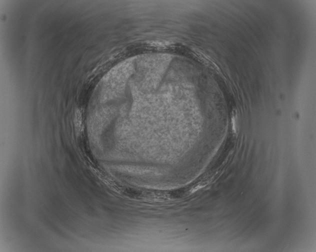 X0000080811347200701051140