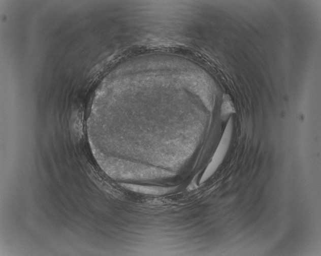 X0000080811348200701051140