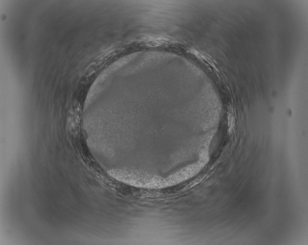 X0000080811349200701051140