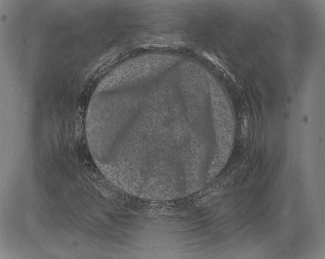 X0000080811350200701051140