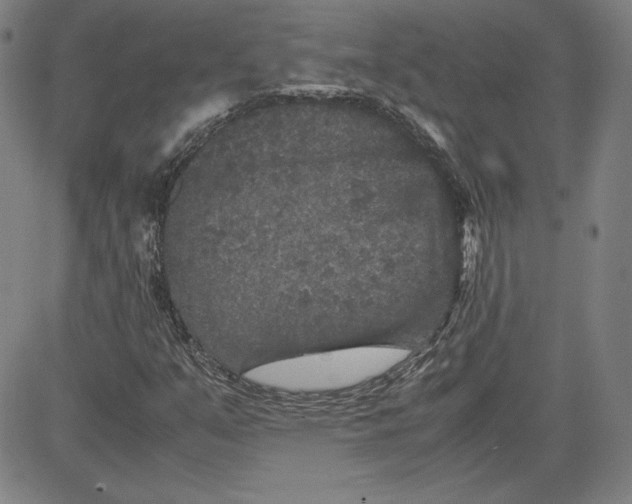 X0000080811351200701051140