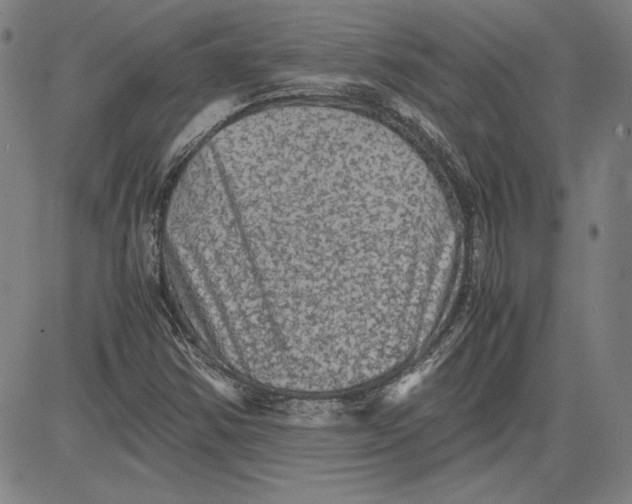 X0000080811354200701051140