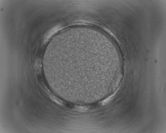 X0000080811355200701051140