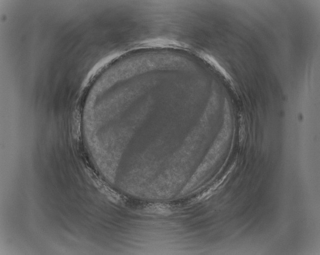 X0000080811358200701051140