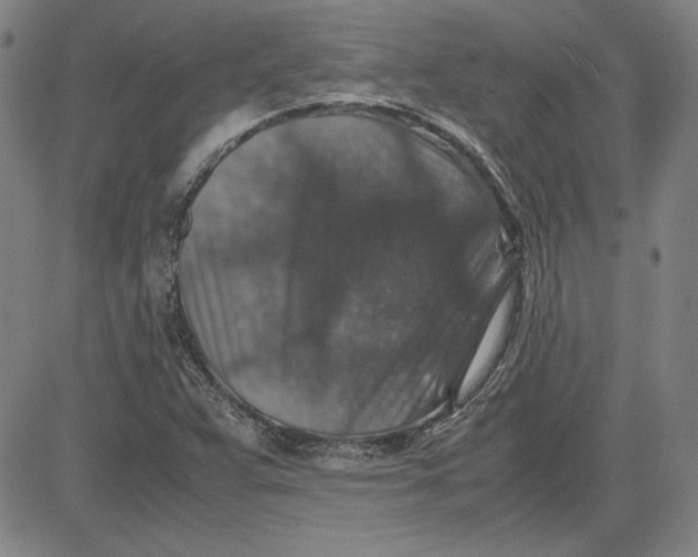 X0000080811359200701051140