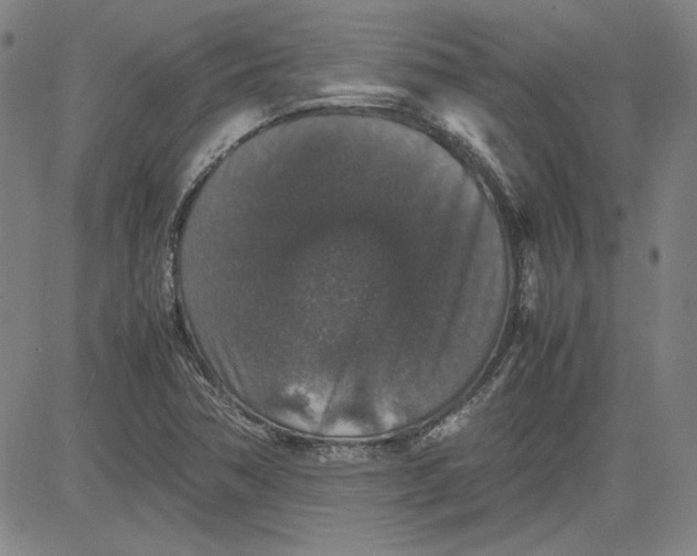 X0000080811362200701051140