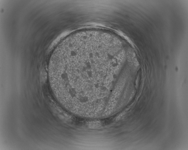 X0000080811363200701051140