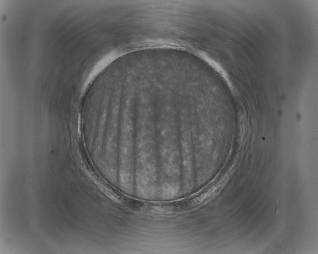 X0000080811365200701051140