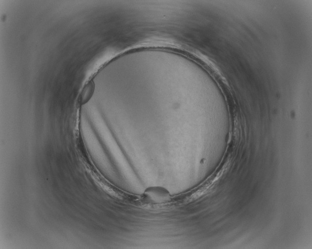 X0000080811366200701051140