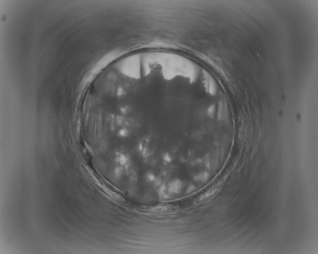 X0000080811367200701051140