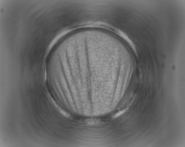 X0000080811368200701051139