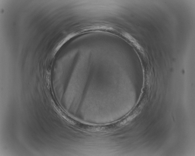 X0000080811369200701051139