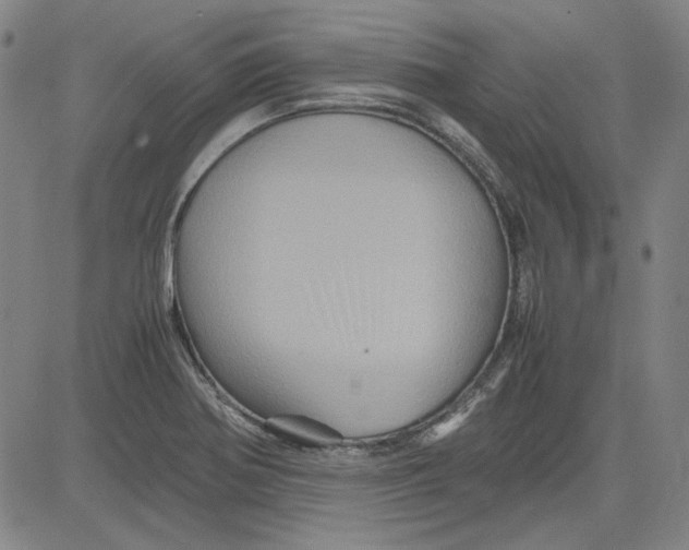 X0000080811370200701051139