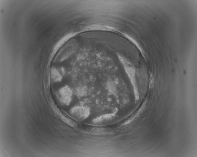 X0000080811371200701051139