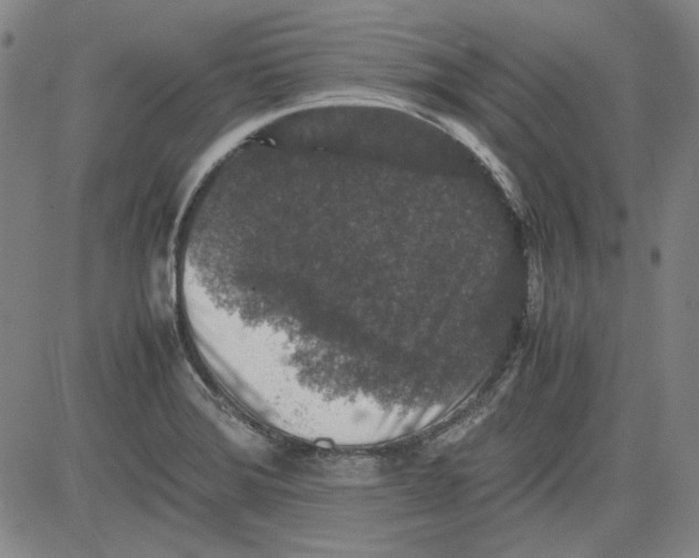 X0000080811372200701051139