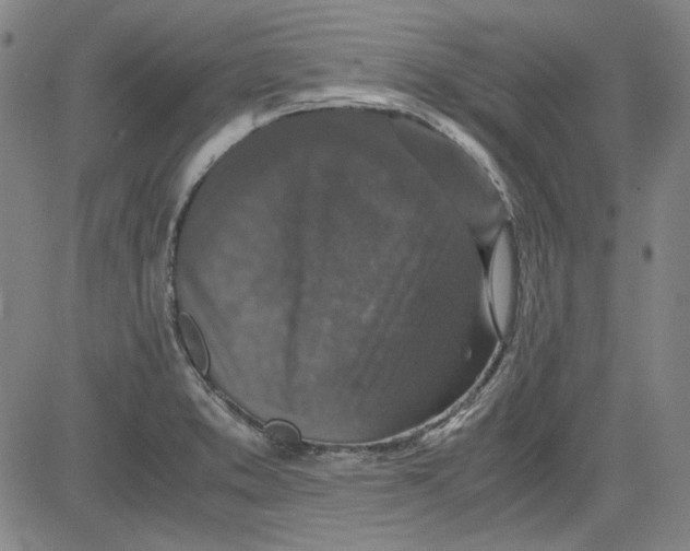 X0000080811373200701051139