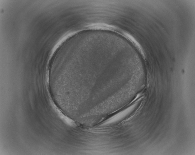 X0000080811376200701051139