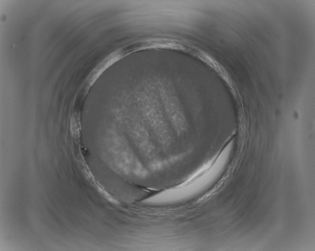 X0000080811377200701051139