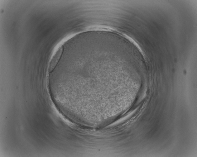 X0000080811379200701051139