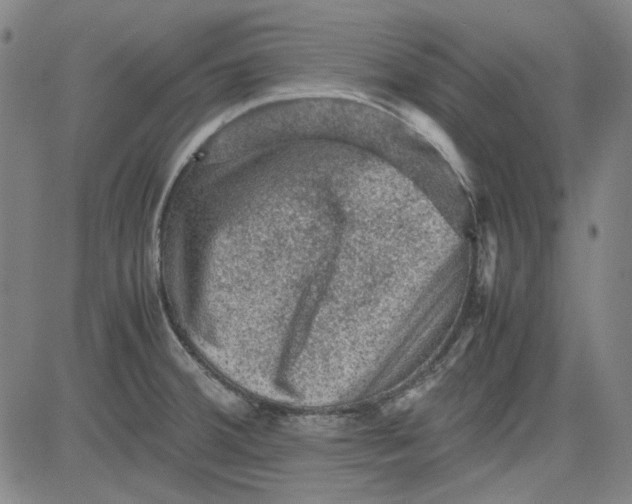 X0000080811380200701051139