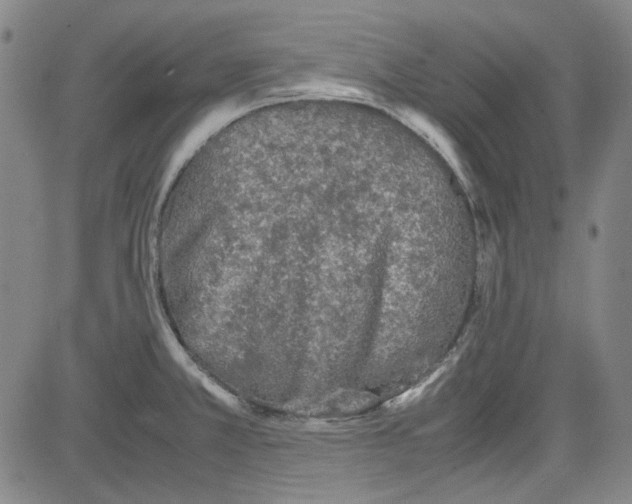 X0000080811381200701051139